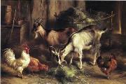 unknow artist poultry  160 oil painting on canvas